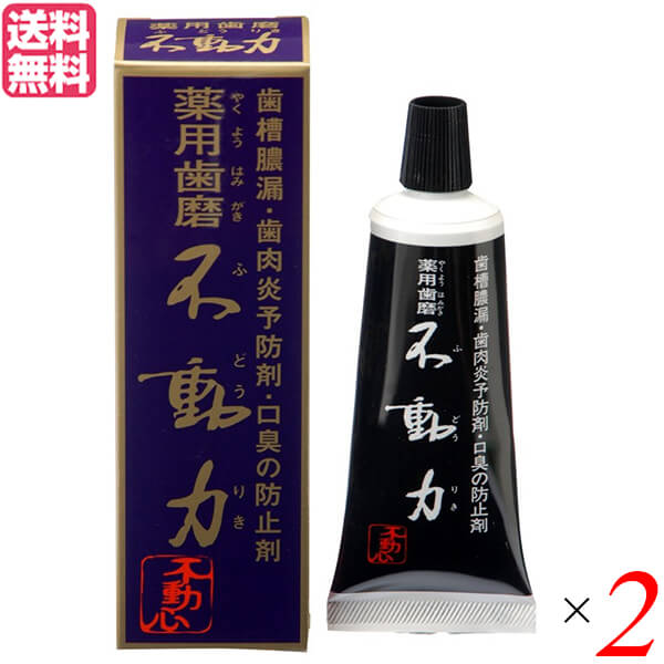 乐天商城 - 歯磨き ハミガキ 歯磨き粉 美の友 薬用自然派はみがき 不動力 80g 医薬部外品 2個セット 送料無料