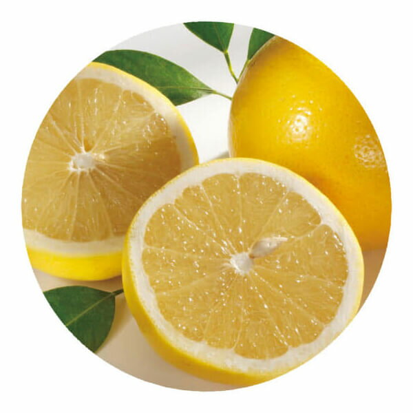 アロマ アロマオイル 精油 生活の木 有機グレープフルーツ精油 3ml 3本セット 送料無料