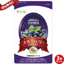 お得な3袋セット リフレ ブルーベリー&ルテイン 31粒