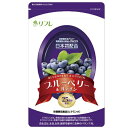 お得な6袋セット リフレ ブルーベリー&ルテイン 31粒 送料無料