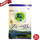 やわた 北の国から届いたブルーベリー 30粒入り 2袋セット