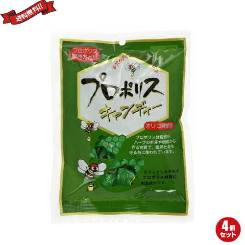 プロポリス キャンディー のど飴 森川健康堂 プロポリスキャンディー 100g 4袋セット