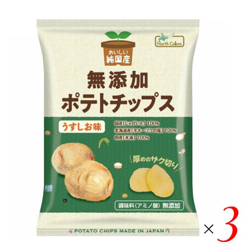 ポテチ ポテトチップス 無添加 おいしい純国産 無添加ポテトチップス うすしお味 55g ノースカラーズ 3袋セット 送料無料