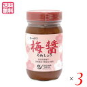 梅醤 練り梅 うめびしお オーサワ 梅醤(うめしょう) 250g 3個セット