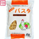 【マラソン限定!学割2倍!100円クーポン!】パスタ ショートパスタ マカロニ 国内産エルボパスタ 300g 桜井食品 送料無料