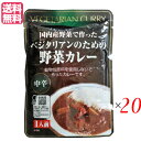 カレー ベジタリアン ビーガン ベジタリアンのための野菜カレー 200g 中辛 20個セット 桜井食品 送料無料