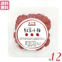 小梅 梅干し 無添加 紅玉小梅 120g 海の精 12個セット