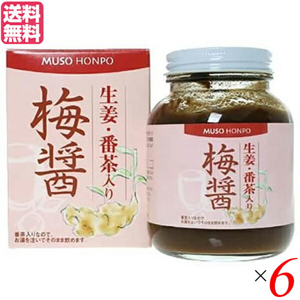 梅醤 梅びしお 梅醤番茶 ムソー 無双本舗 生姜 番茶入り梅醤 250g 6個セット 送料無料