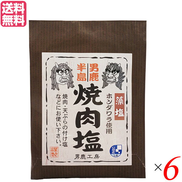 【お買い物マラソン！ポイント6倍！】塩 天然塩 食塩 男鹿半島 焼肉塩 40g 6個セット 男鹿工房 送料無料 1