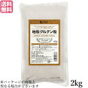 グルテン粉 国産 小麦 業務用 オーサワの地粉グルテン粉 2kg 送料無料