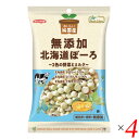 【スーパーSALE!100円クーポン!学割2倍!】ノースカラーズ 純国産北海道ぼーろ 100g×4個セット