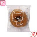 【スーパーSALE!100円クーポン!学割2倍!】ドーナツ 豆腐 大豆 おとうふ工房いしかわ どうぶつ とうふドーナツ(バニラ) 30個セット 送料無料