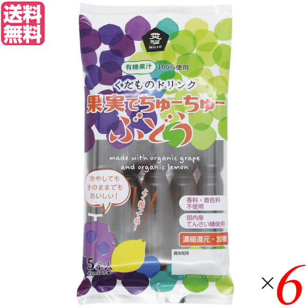 チューチュー アイス ちゅーちゅー 果実でちゅーちゅー・ぶどう 45ml×5本 6本セット 送料無料