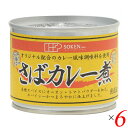 【お買い物マラソン！ポイント3倍！】創健社 さばカレー煮 190g（固形量140g） 6個セット 送料無料