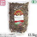 レーズン ドライフルーツ 有機 アリサン 有機ゴールデン サルタナレーズン 12.5kg 業務用 送料無料