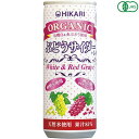 光食品 サイダー 炭酸ジュース ヒカリ オーガニックぶどうサイダー+レモン 250ml