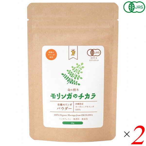 【BF限定!100円クーポン!学割2倍!】モリンガ 粉末 パウダー Free Our Soul モリンガのチカラ パウダー 30g 2個セット 送料無料