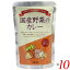 カレー 国産 辛口 ムソー 国産野菜のカレー辛口 200g 10個セット 送料無料