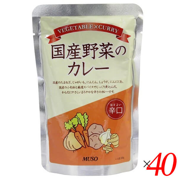 カレー 国産 辛口 ムソー 国産野菜のカレー辛口 200g 40個セット 送料無料