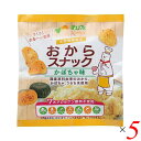 【5/10(土)限定!楽天カード利用でポイント9倍!】おから お菓子 おやつ サンコー おからスナックかぼちゃ味 30g 5個セット