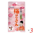 【マラソン限定!ポイント2倍!100円クーポン!】梅干し お菓子 梅ぼしさん(しそ梅干100%) 10.8g(約36粒) 3個セット ウメケン 送料無料