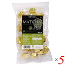 【マラソン限定!ポイント2倍!100円クーポン!】抹茶 チョコ 一口 創健社 ダイスチョコ 抹茶 120g 5個セット 送料無料