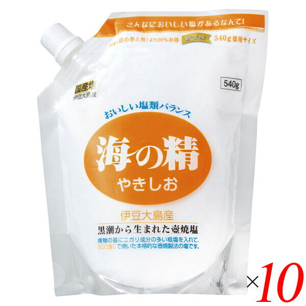 塩 天然塩 天日 海の精 やきしお(スタンドパック)540g 10個セット 送料無料