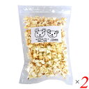 ダグとワラ プレミアムポップコーン 純正しょうゆ味 50g 2個セット 有機ポップコーン 袋 砂糖不使用
