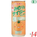 【7/27(日)限定!エントリーでポイント2倍!】ヒカリ 有機みかんサイダー+レモン 250ml 14本セット サイダー 国産 オーガニック