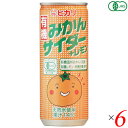 【7/27(日)限定!エントリーでポイント2倍!】ヒカリ 有機みかんサイダー+レモン 250ml 6本セット サイダー 国産 オーガニック