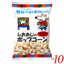 創健社 メイシーちゃんのおきにいり しおあじのポップコーン 30g 10個セット 塩味 にがり 粗塩