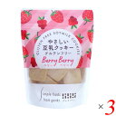 【BF限定!100円クーポン!学割2倍!】げんきタウン やさしい豆乳クッキー ベリーベリー 50g 3個セット 卵・乳・小麦不使用のおやつ
