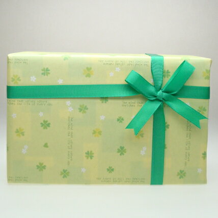 包装&リボン【ギフト包装(ラッピング)】GIFT-A02