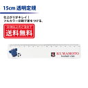 フルカラー印刷 【定規】記念品や販促グッズに最適!15cm透明定規【楽ギフ_名入れ】