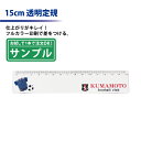 【お試し・サンプル】フルカラー印刷 【定規】記念品や販促グッズに最適!15cm透明定規【楽ギフ_名入れ】