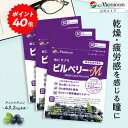 子供 目のサプリ 【眼育サプリ】 10袋セット＋1袋おまけ お得な11袋 【送料無料】 サプリ ブルーベリー ビタミン ルテイン 眼育サプリ キシリトール 配合 子ども サプリ こども サプリメント めいくサプリ 子供用サプリメント ホームワック 視力検査表 目育サプリ アイケア