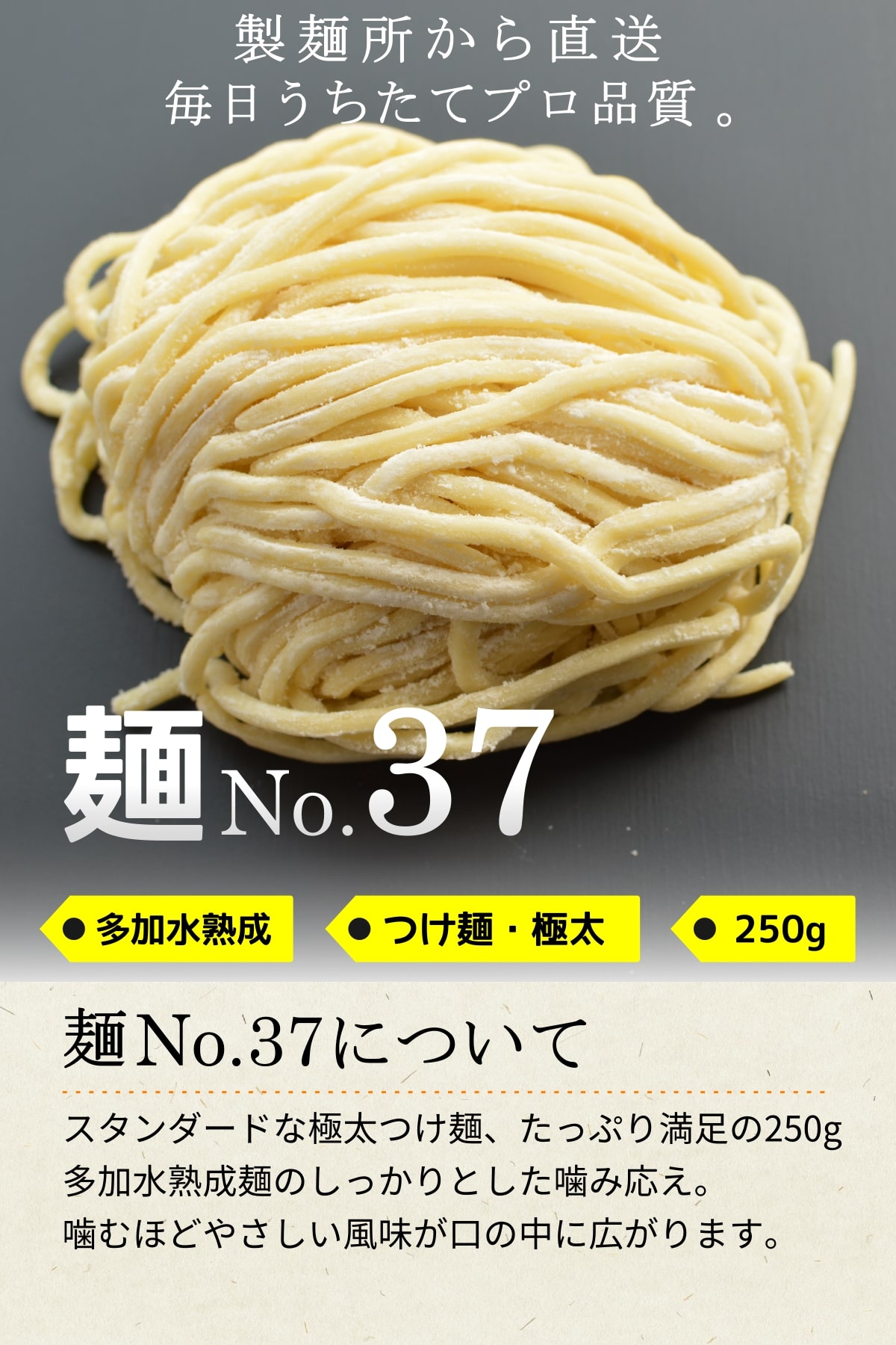 【冷凍】業務用 つけ麺 / まぜそば 用 生中華麺 250g/1食×8袋 ストレート麺 極太麺 切刃12番(約2.5mm角) 多加水熟成 個包装 生 ラーメン 生麺 麺のみ 麺くる 麺No.37 2