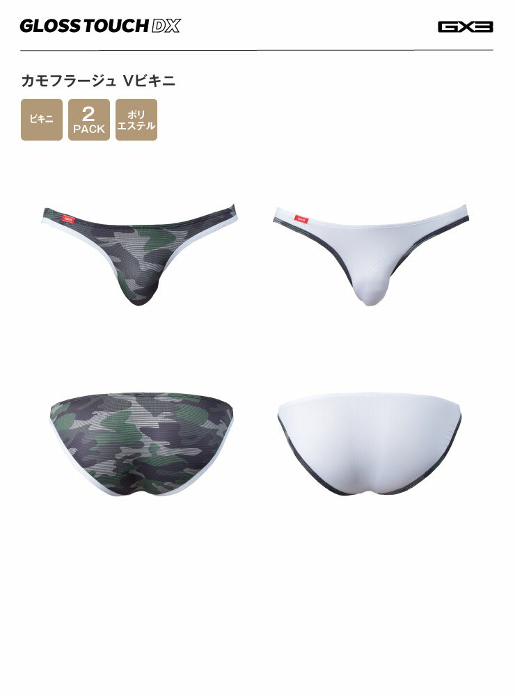 ��2��ѥ�ĥ��åȡ�GX3/�����Х����꡼ GLOSS TOUCH DX ����ե顼���� V�ӥ���