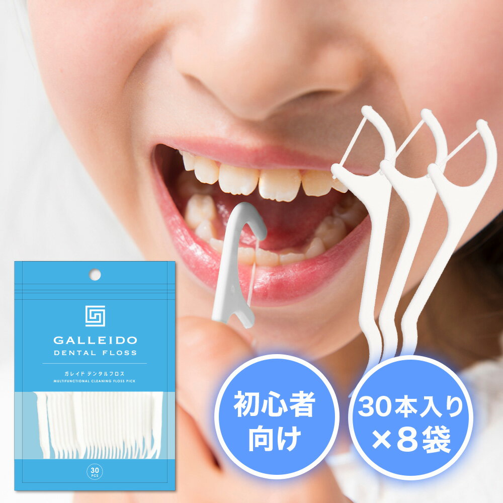 歯間ブラシ 30本×8袋セット フロス フロスピック 糸ようじ デンタルピック GALLEIDO DENTAL FLOSS 送料無料 歯 詰め物 歯間フロス 歯 間 ブラシ 送料無料