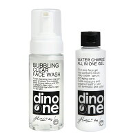 送料無料 dinoone 洗顔フォーム＆オールインワンジェル セット メンズコスメ 男性化粧品 洗顔料 化粧水 美容液 乳液 クリーム エイジングケア 簡単 便利 dinomen マスク 肌荒れ 乾燥ケア