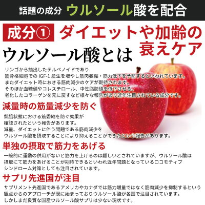 サプリメントDiNOMENボディデザインPhiSix180粒筋肉ケア脂肪燃焼骨成形促進ブラックジンジャークラチャイダムウルソール酸ビタミンDメール便送料無料メンズレディース