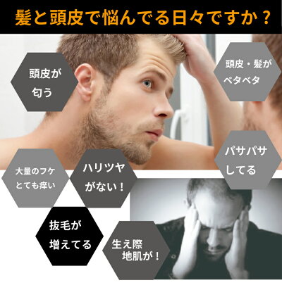 【送料無料】DiNOMENウォッシュセット(薬用スカルプリンスインシャンプー500ML&ミネラルファンゴウォッシュ)頭皮ケアシャンプー・フケ、かゆみ、抜け毛、薄毛を予防・スカルプケア・洗顔フォーム【あす楽対応】
