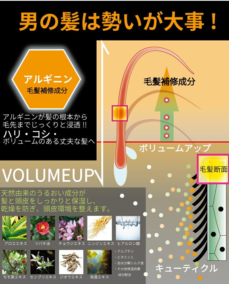 DiNOMEN 薬用 スカルプケア ボタニカル トリートメント 500ml 毛髪補修 抜毛 薄毛 枝毛 切毛 予防 ハリ コシ ツヤ ボリュームアップ 育毛 頭皮 養毛 メンズ 男性 父の日 3