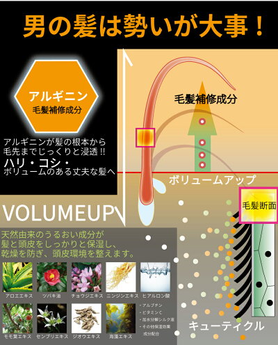 薬用スカルプケアボタニカルトリートメント500ml頭皮と髪を清潔にDiNOMEN男性