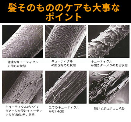 薬用スカルプケアボタニカルトリートメント500ml頭皮と髪を清潔にDiNOMEN男性