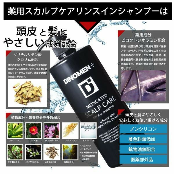 シャンプー メンズ 薬用 頭皮と髪を清潔に DiNOMEN 薬用スカルプケア リンスイン シャンプー 1000ml 男性 頭皮ケア フケ かゆみ 抜け毛 薄毛 スカルプケア ボタニカル 男性 化粧品 メンズ コスメ [あす楽]