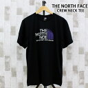 送料無料 THE NORTH FACE ザ ノースフェイス ラストロゴ クルーネックTシャツ M S/S RUST 2 TEE MC ゆうパケ