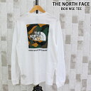 送料無料 THE NORTH FACE ザ ノースフェイス TNF BOXロゴバックプリント ロングスリーブTシャツ M L/S BOX NSE TEE NF0A811N メンズ ブランド MC ゆうパケ