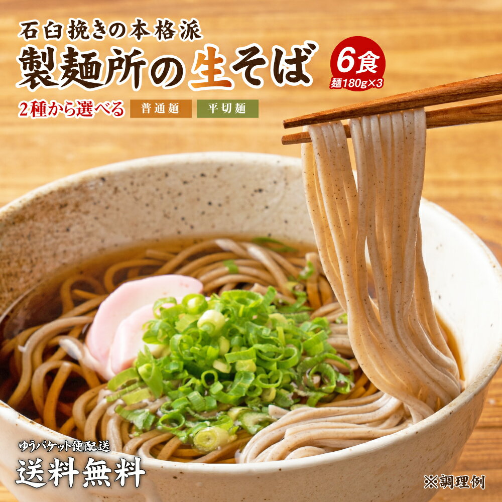 送料無料 1000円 ポッキリ 讃岐生そば 6食セット 麺の...