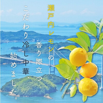 さぬき麺心工場直売所 楽天市場店 送料無料 冷やし中華 6食 (90g×6袋) 瀬戸内レモンスープ 6袋付 取り寄せ ご当地グルメ ご当地 産地直送 お試し 食品 グルメ 食べ物 プレゼント お中元 御中元 ギフト 夏ギフト 贈物 画像2